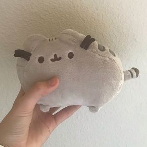 chute pusheen the cat